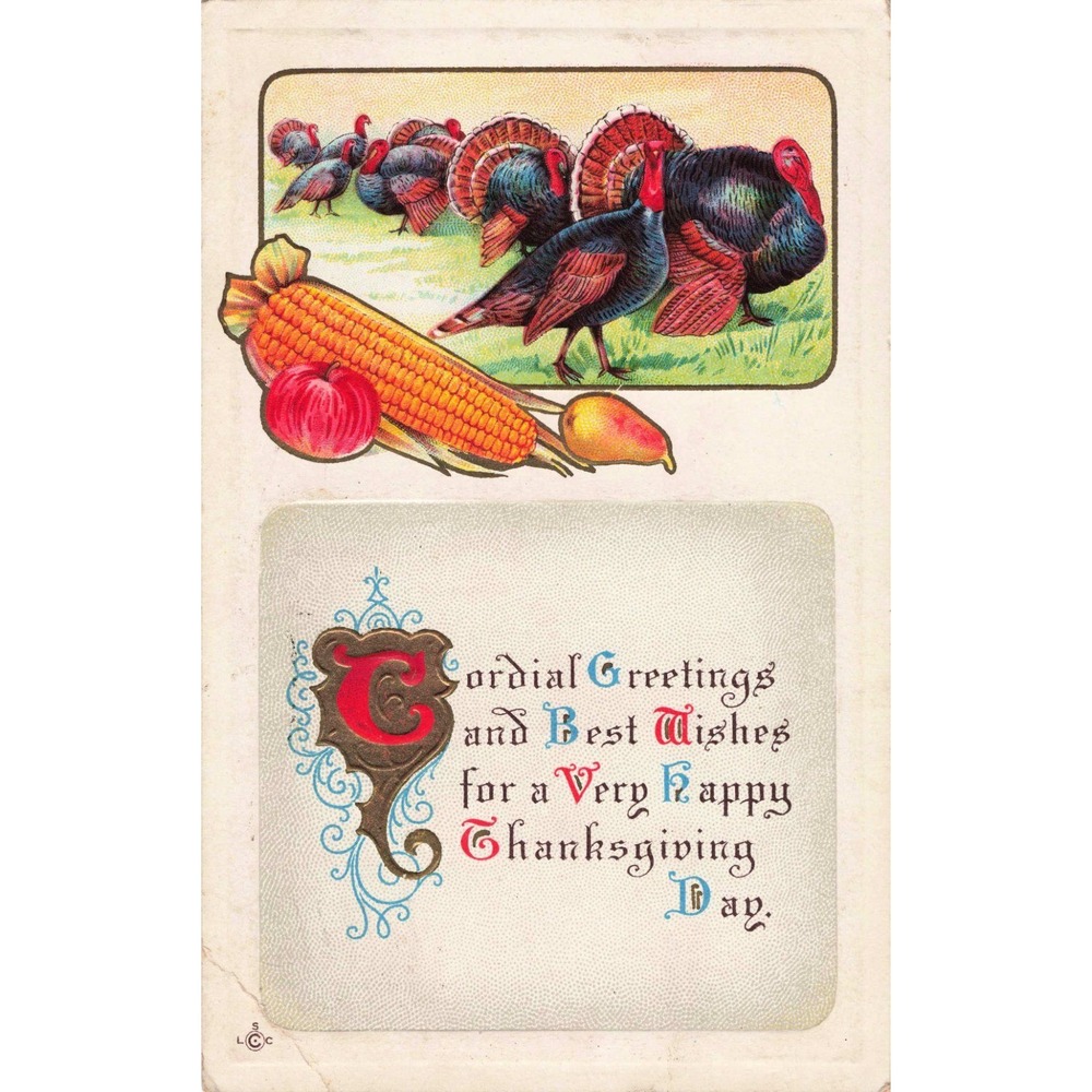 Vintage 1912 Thanksgiving Postcard Turkeys Harvest Corn Series 253 B Chicago IL - Picture 1 of 2